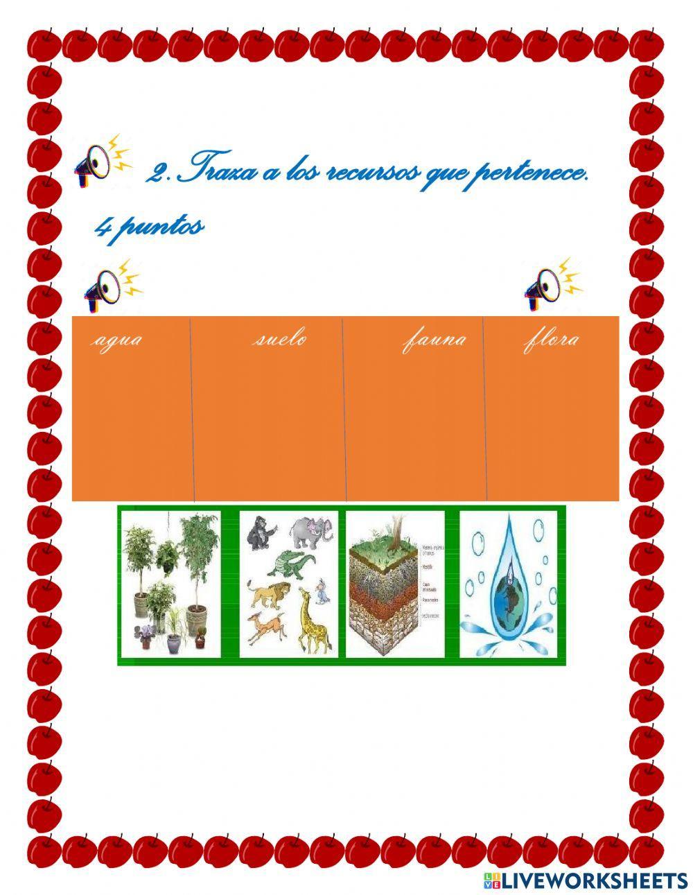 Los recursos naturales