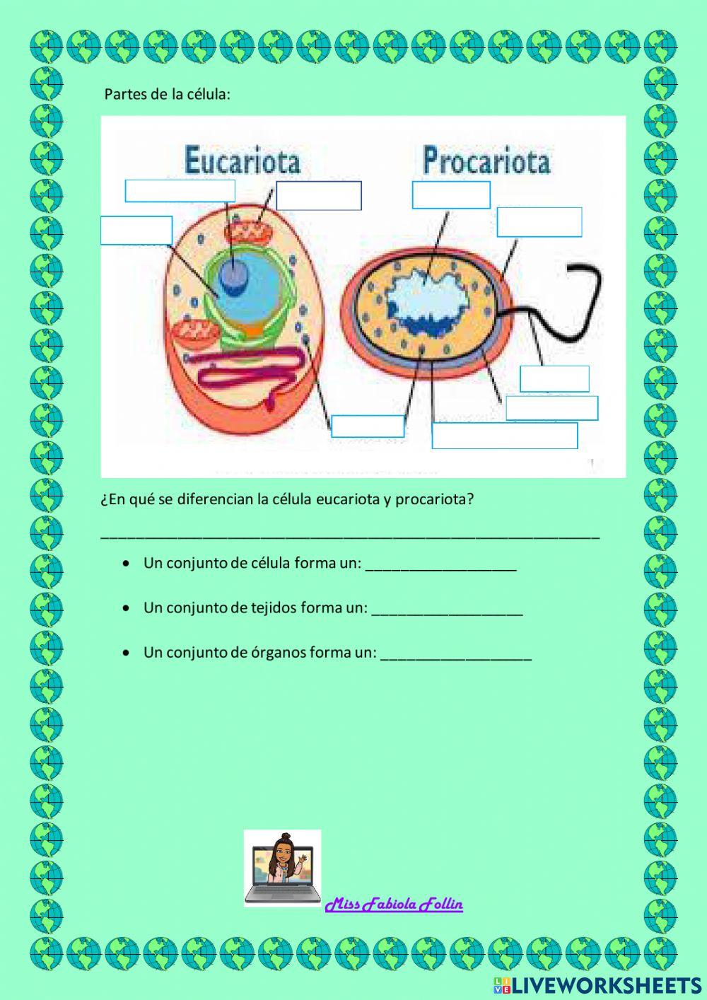 Ciencias naturales