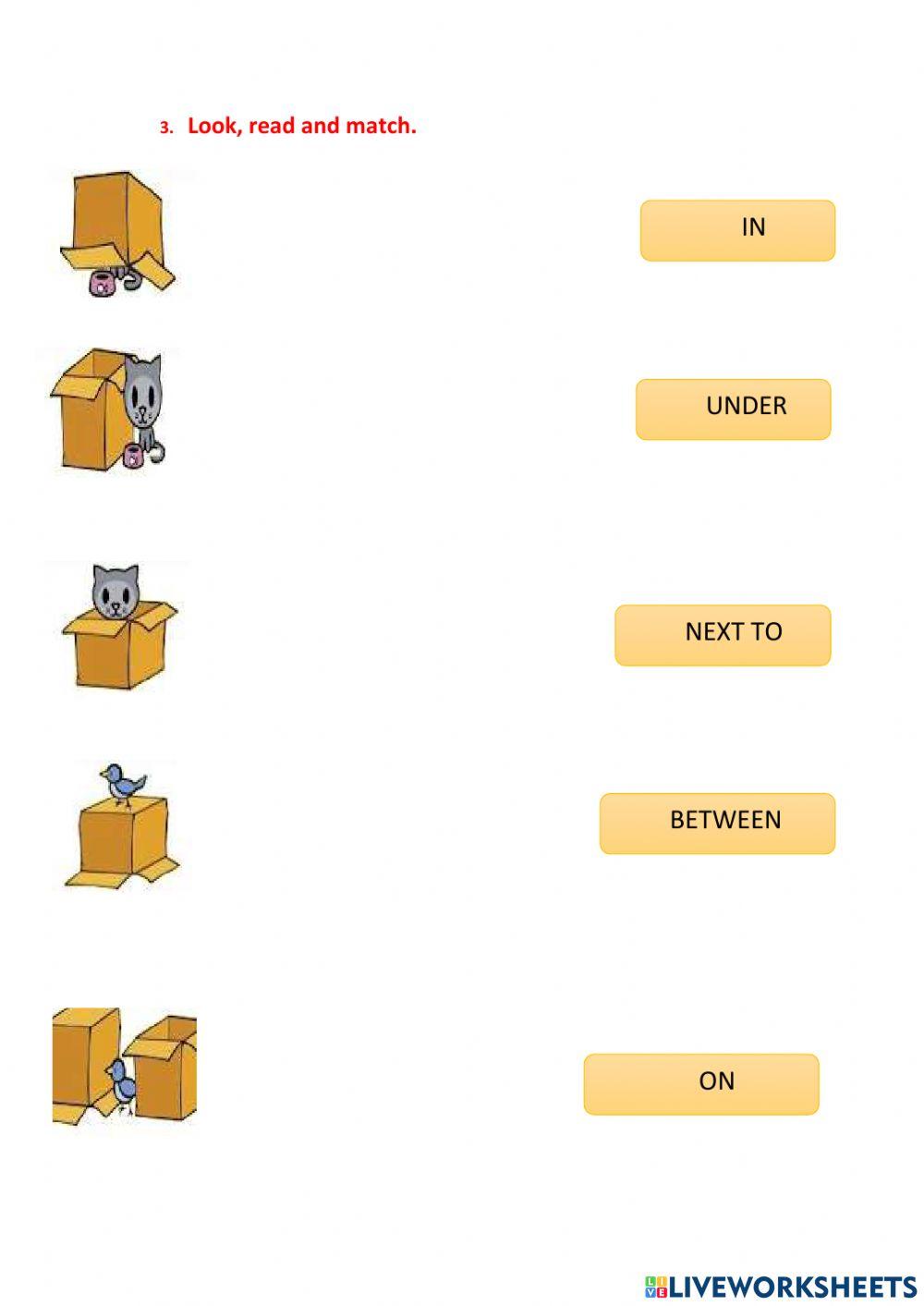 Diagnostic evaluation