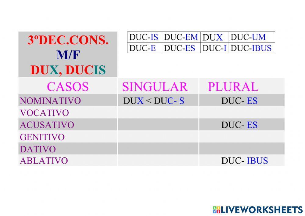3ª Declinación Consonante