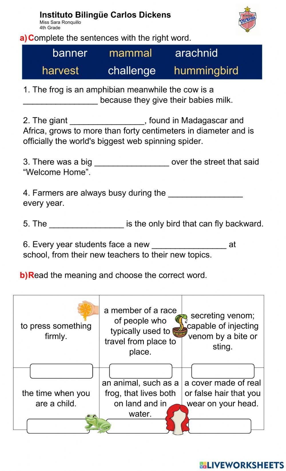 44 - Vocabulary Practice 19-5