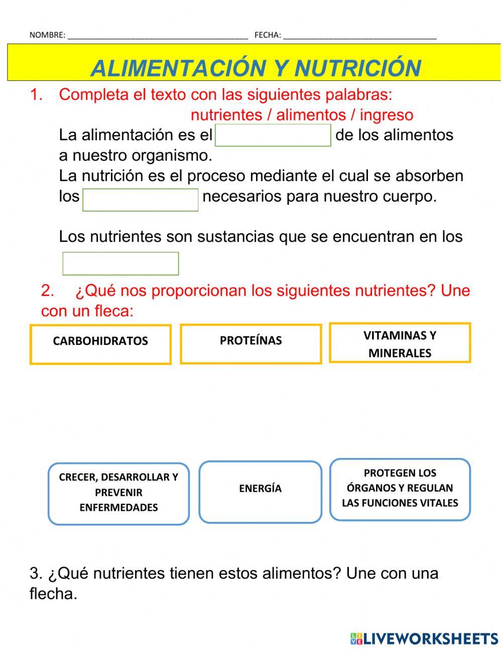 Alimentación y nutrición 5°