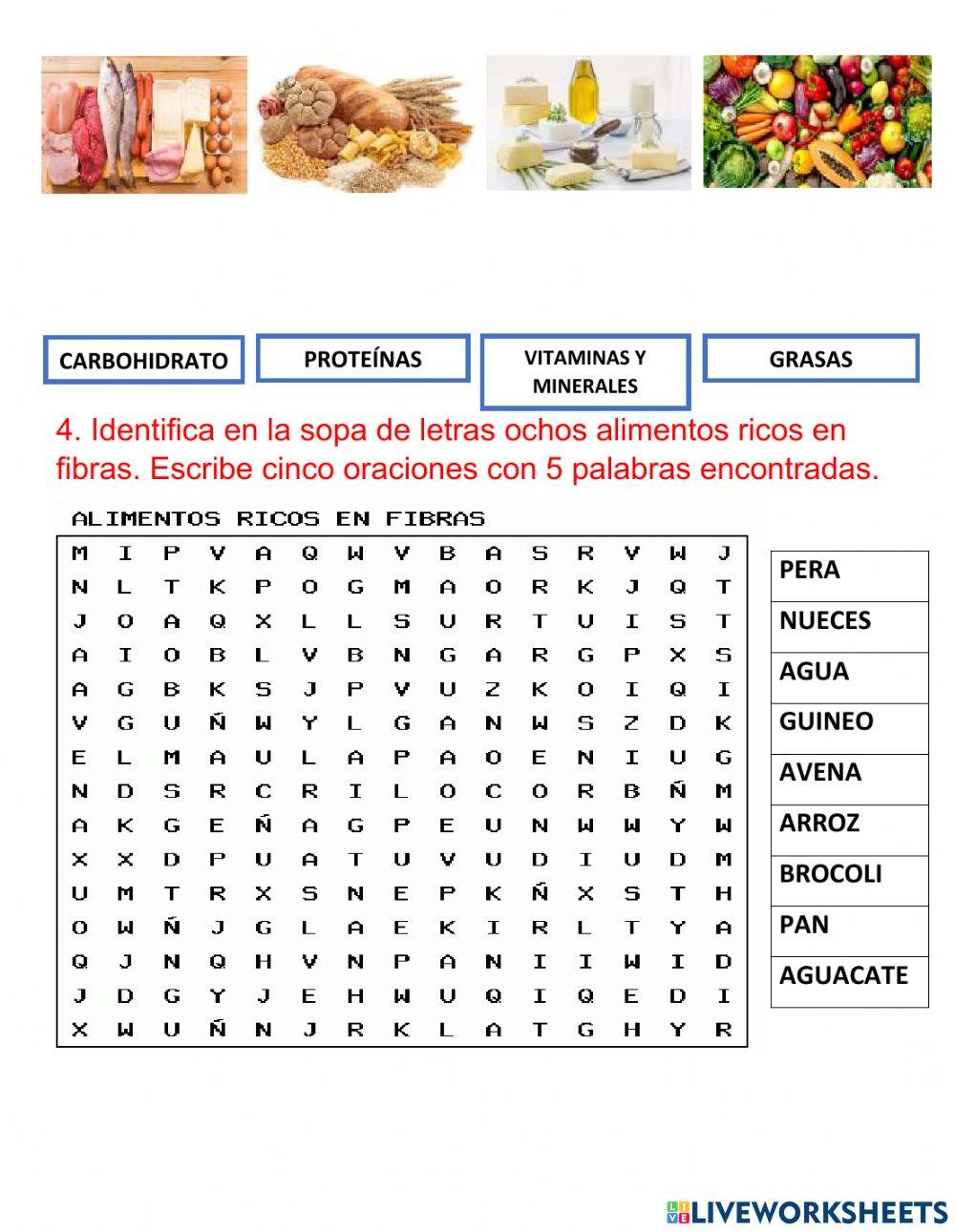 Alimentación y nutrición 5°