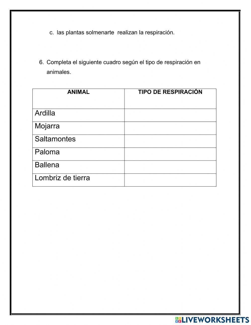 Respiración en plantas y animales