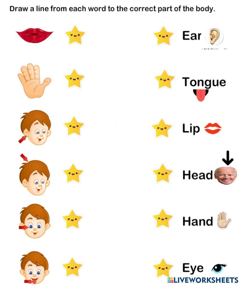 Connect the pictures to the correct part of the body.