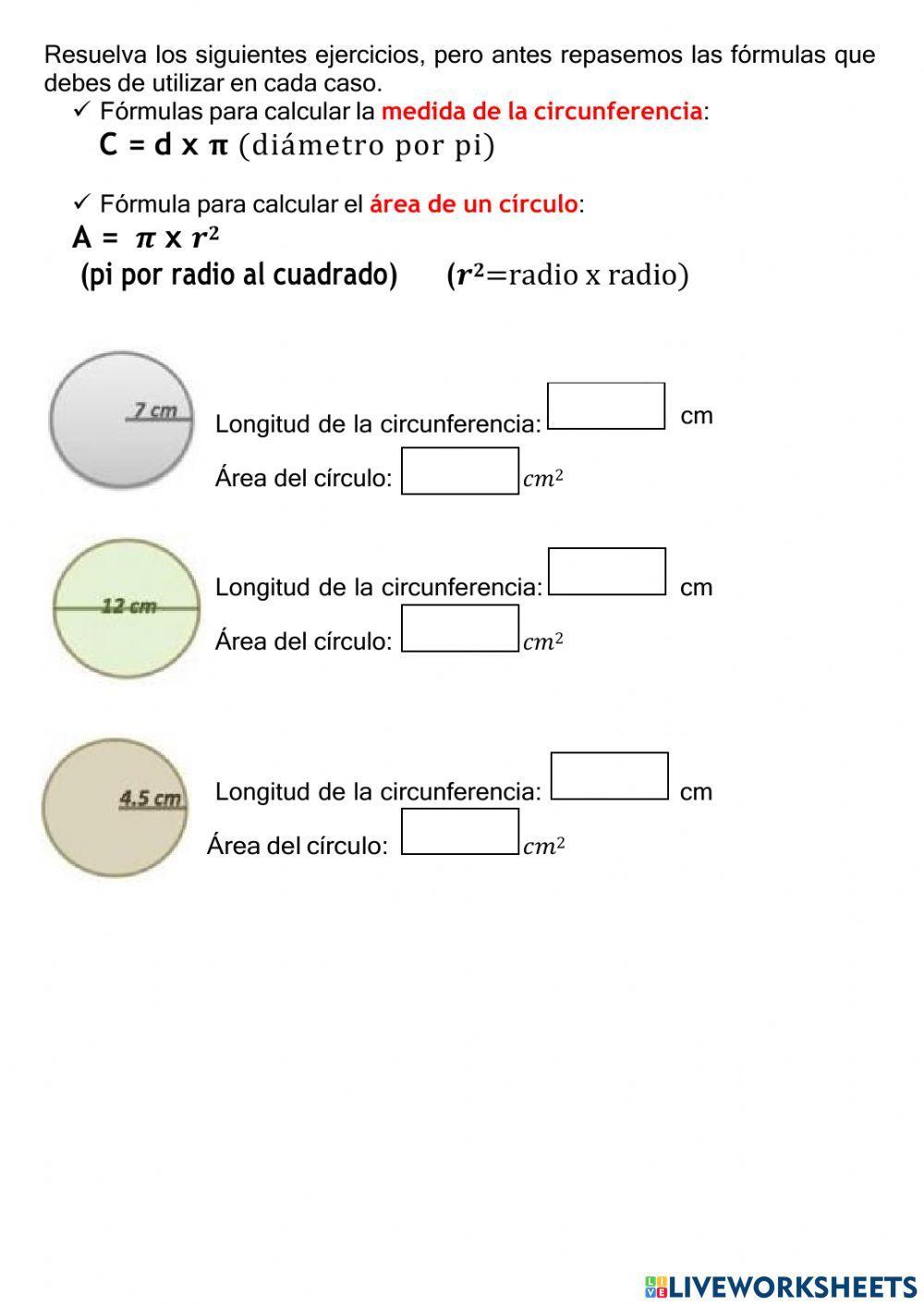 Circulo y circunferencia