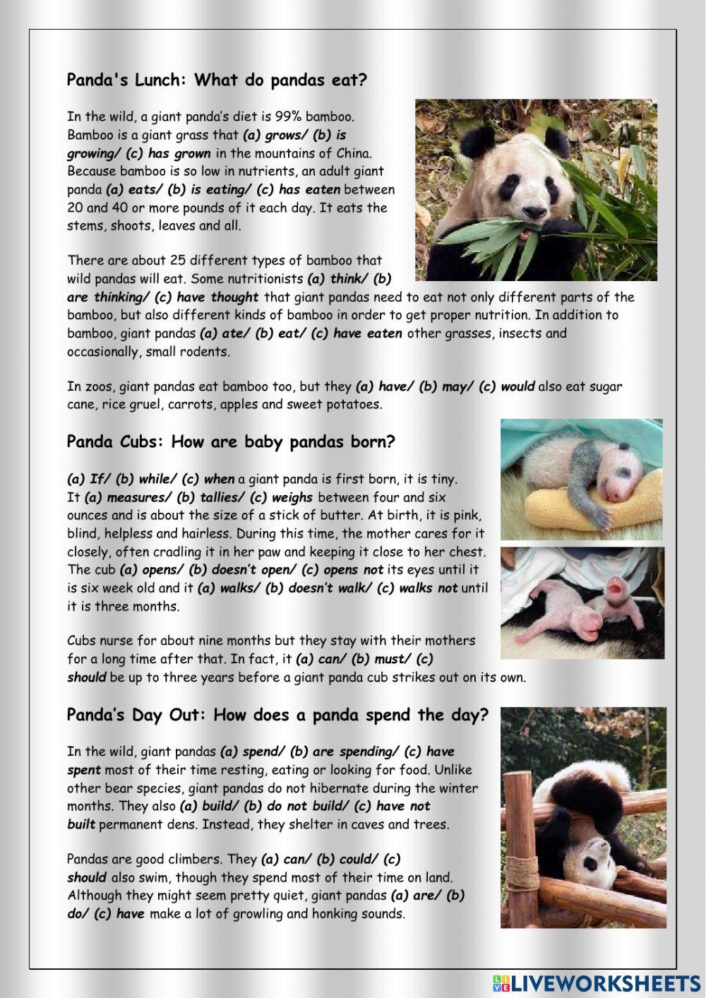 Reading pandas