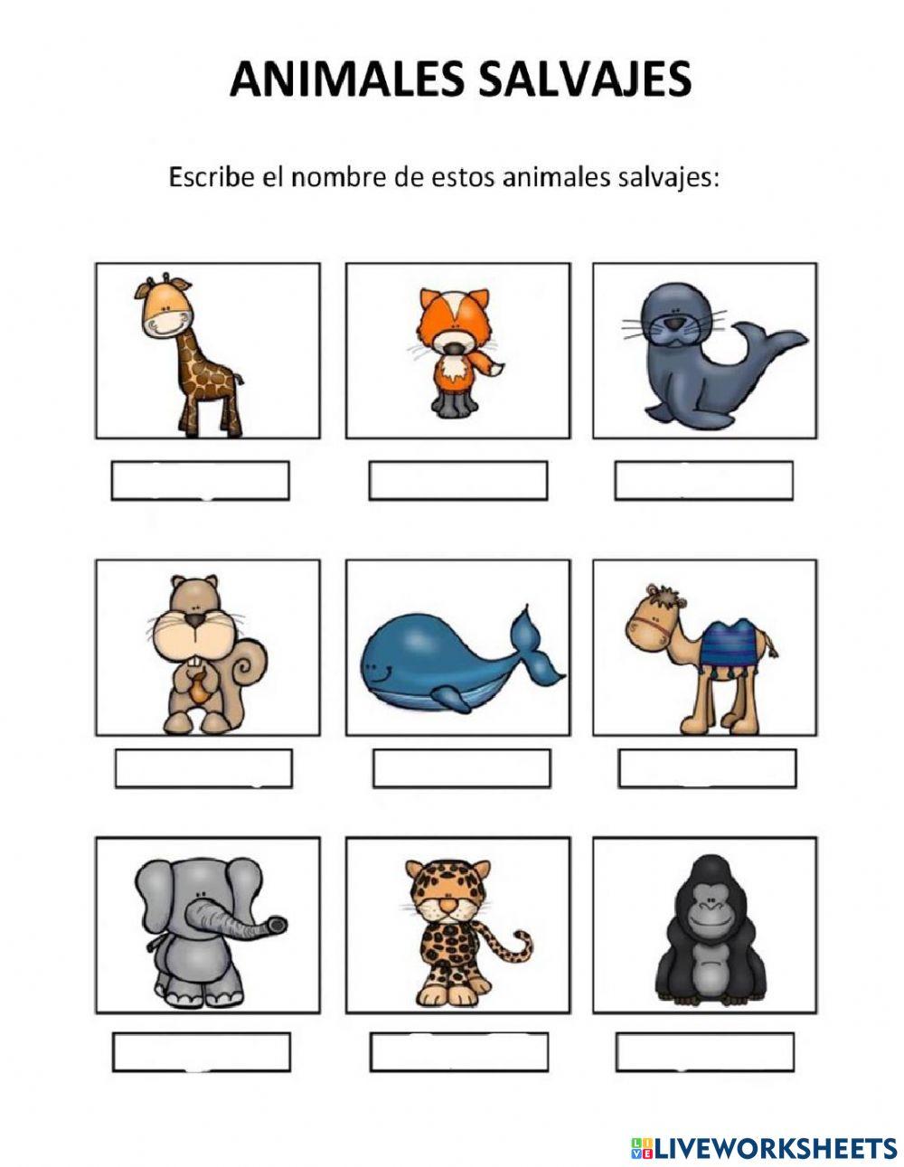 Animales domestico y salvajes