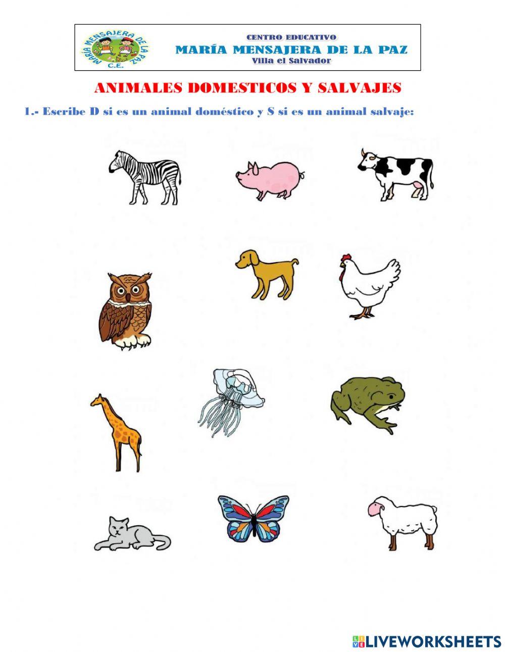 Animales domestico y salvajes