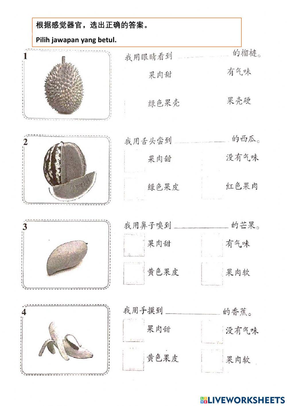 一年级第4课：我们的感觉器官