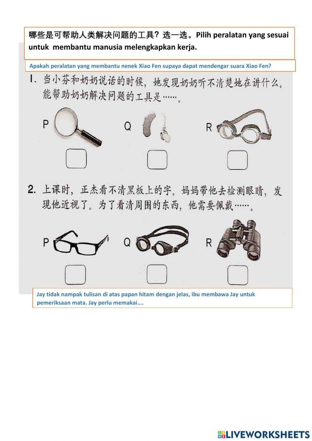 一年级第4课：我们的感觉器官