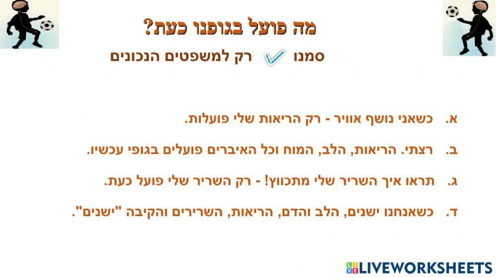 מערכת העצבים - כיתה ו