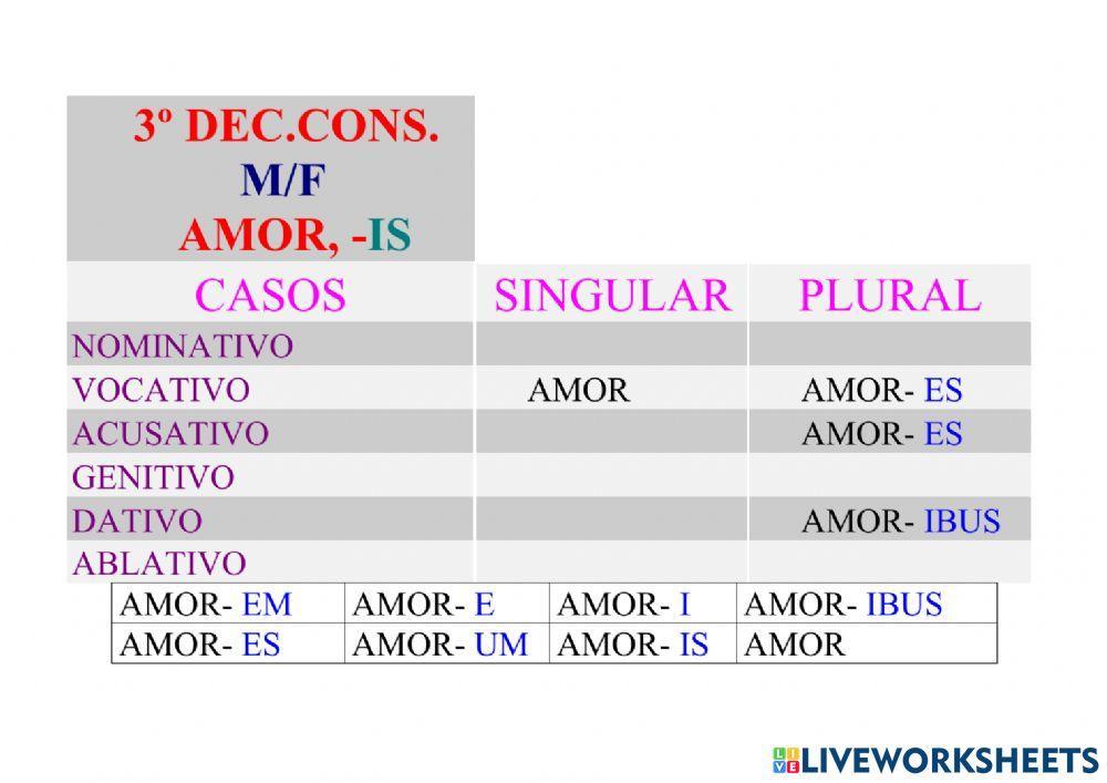 3ª Declinación Consonante