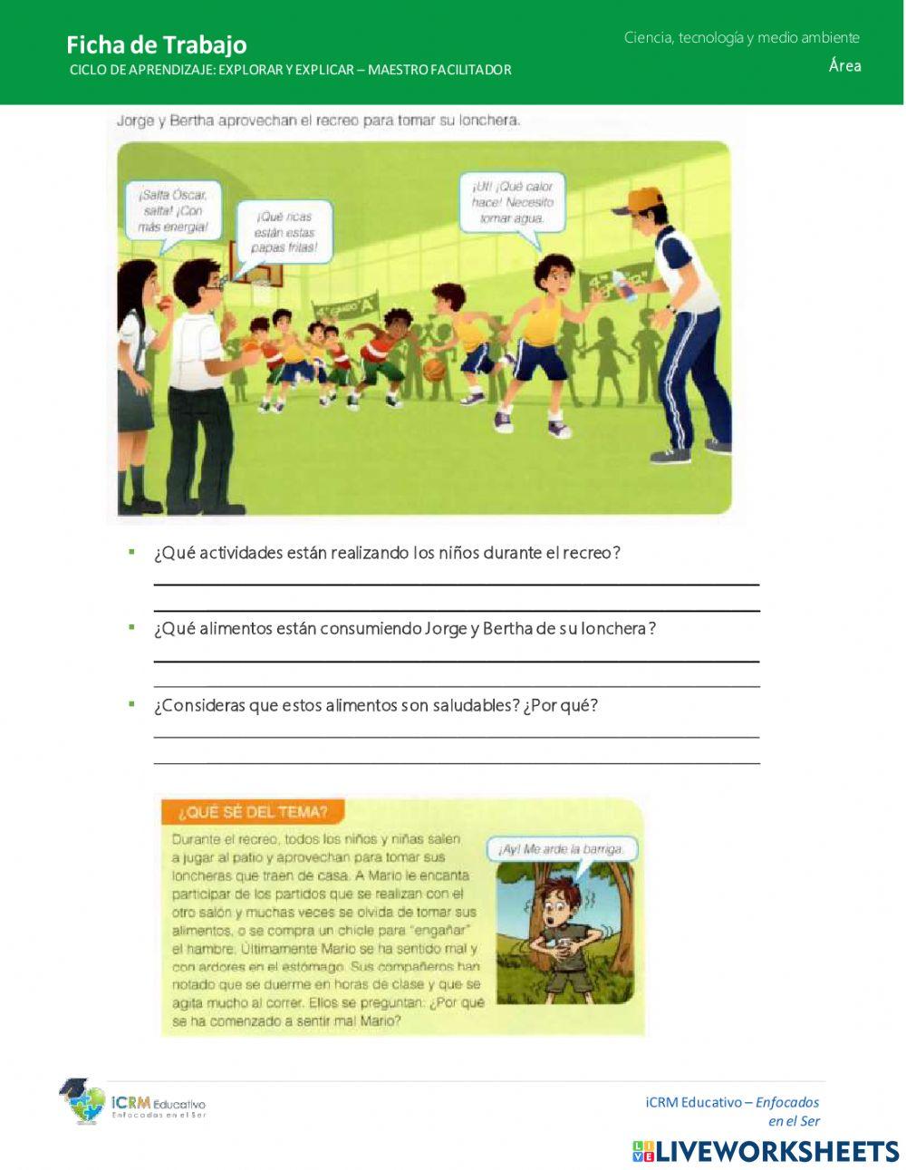 La funcion de los aliemntos