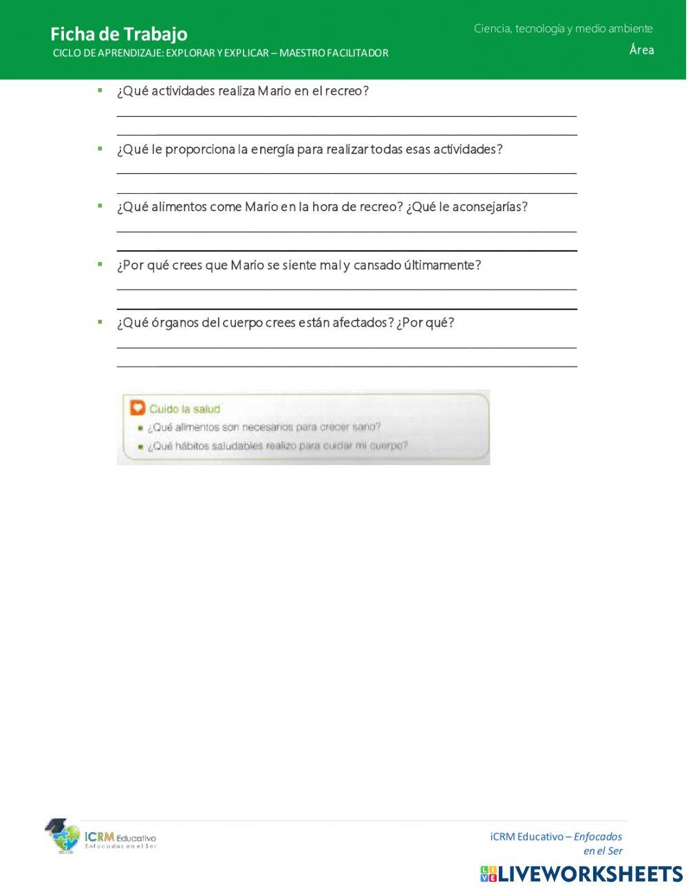 La funcion de los aliemntos