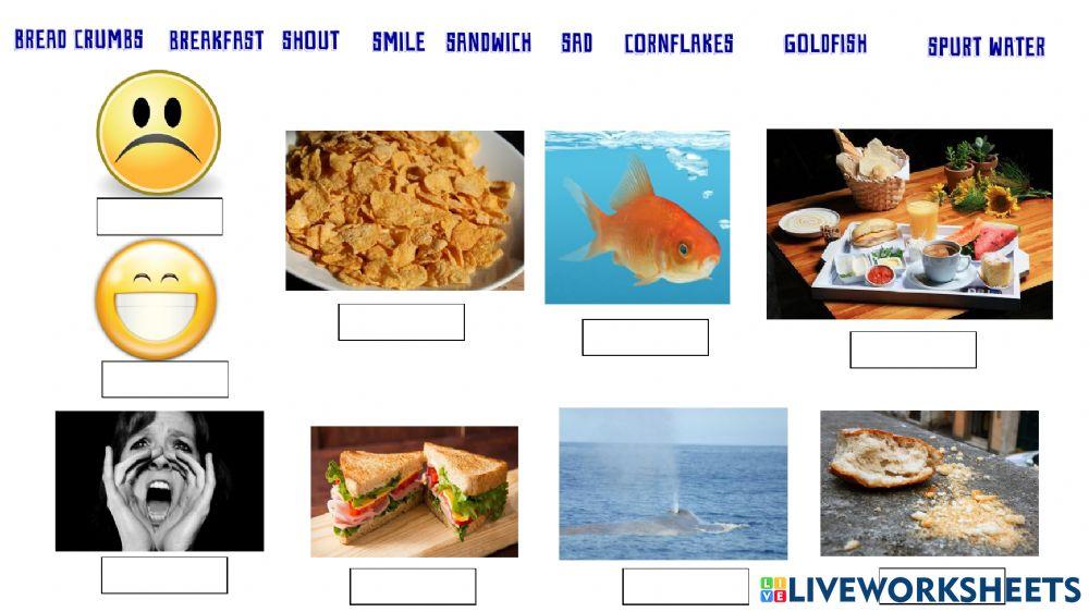 Vocabulary study about the book Dear Mr Blueberry