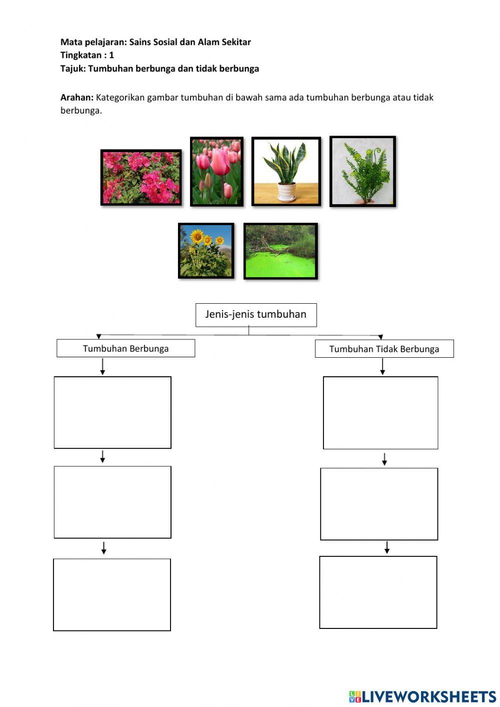 Tumbuhan berbunga dan tidak berbunga