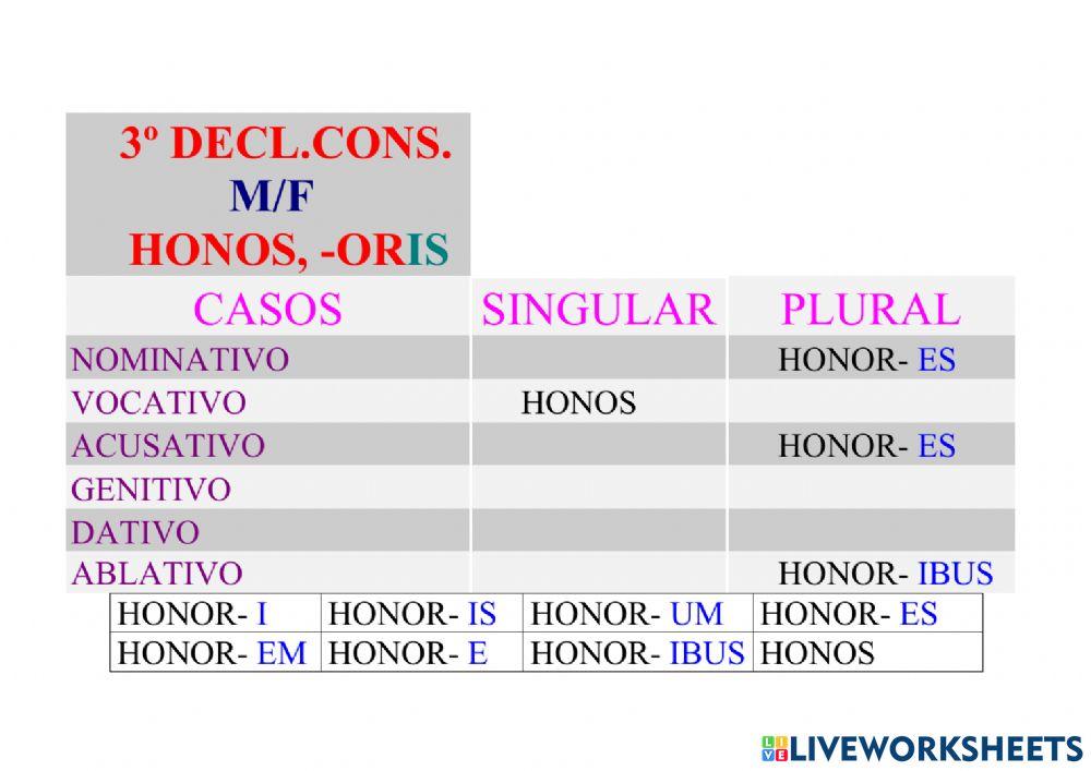 3ª Declinación Consonante