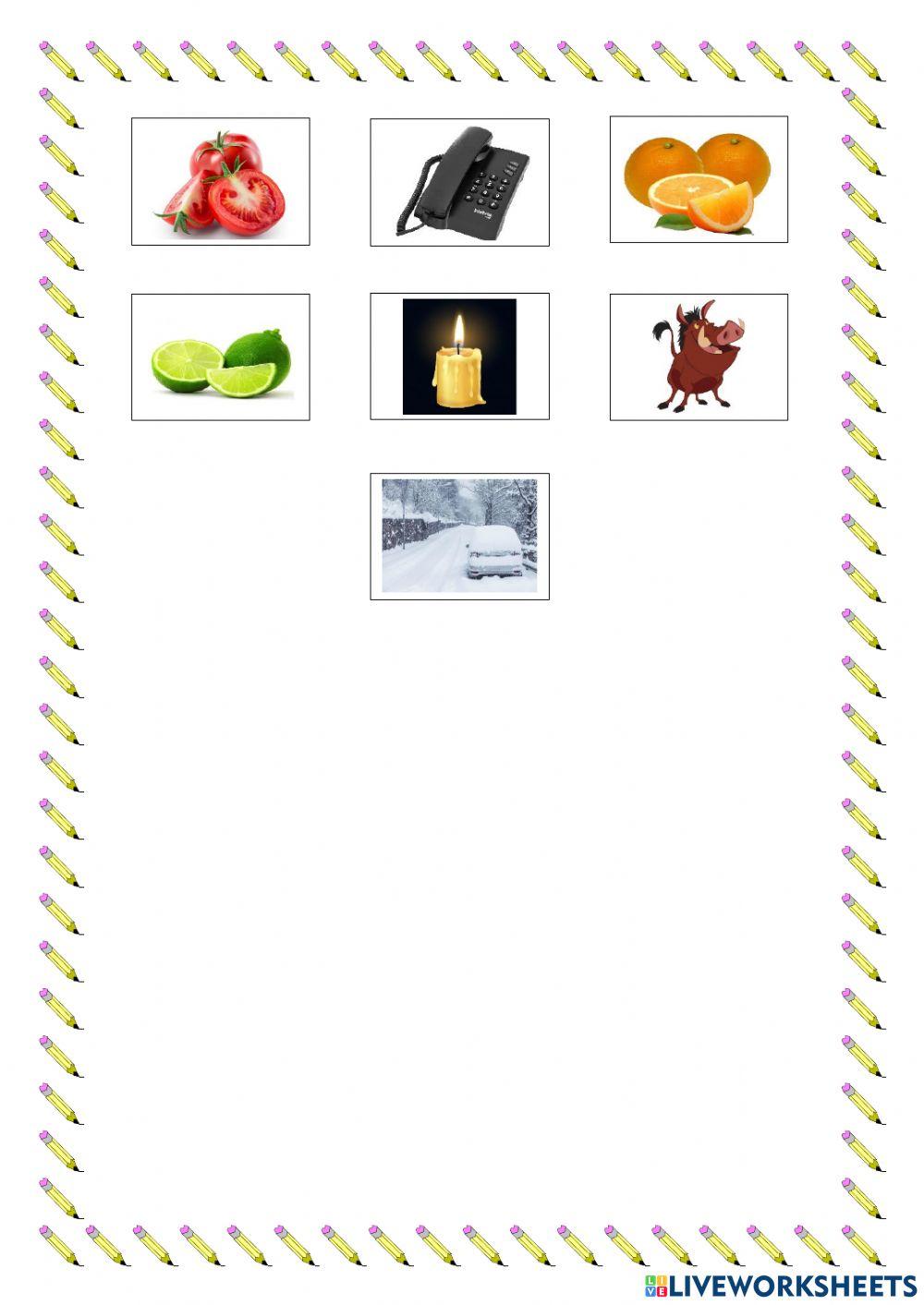 Encaixe a Figura Correta