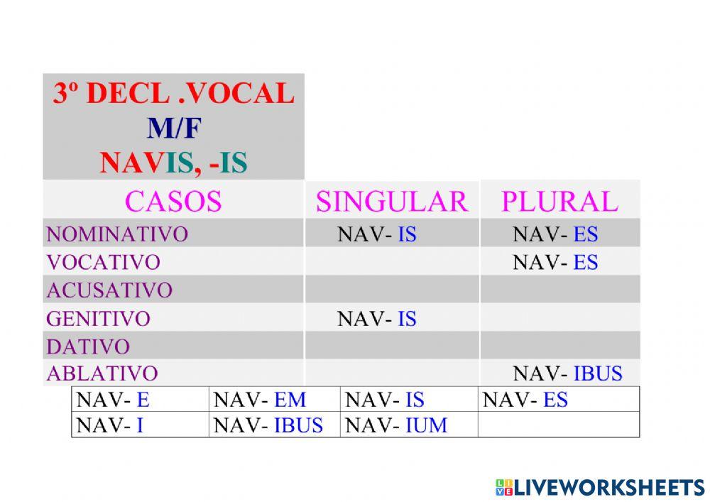 3ª Declinación Vocal