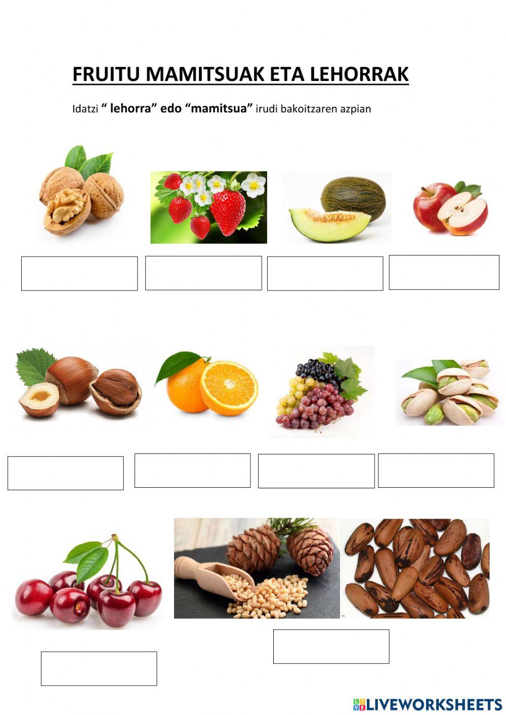 Fruitu lehorrak eta mamitsuak bereizten ditugu