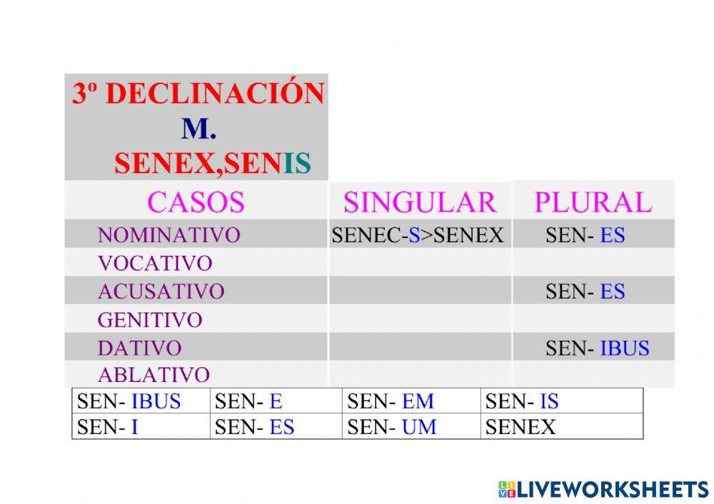 3º Declinación: senex