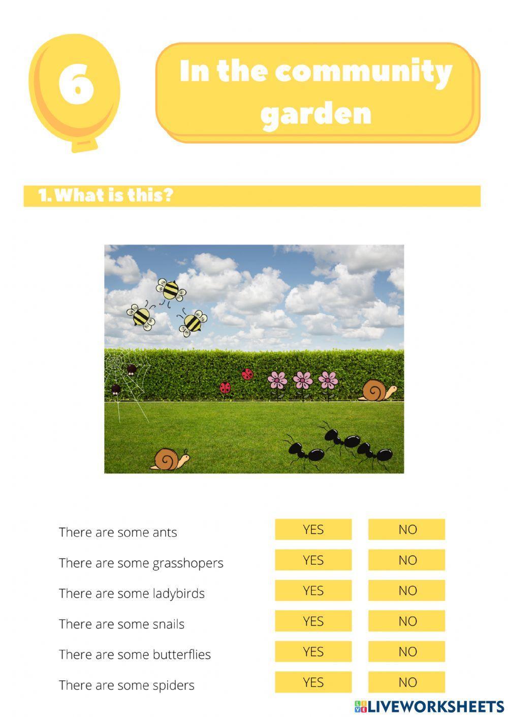 In the community garden (REF)