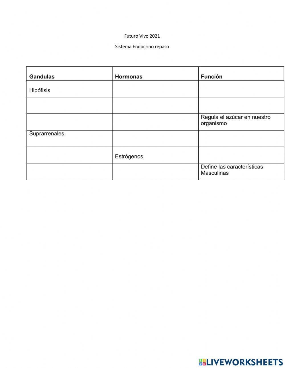 Cuadro sistema endocrino