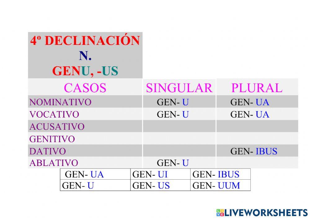 4ª Declinación Neutro