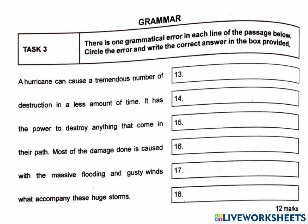 S.E.A. Language Arts Practice