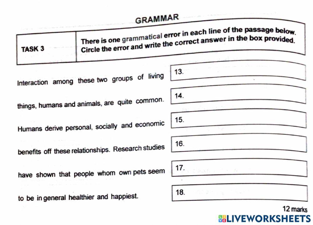 S.E.A. Language Arts Practice