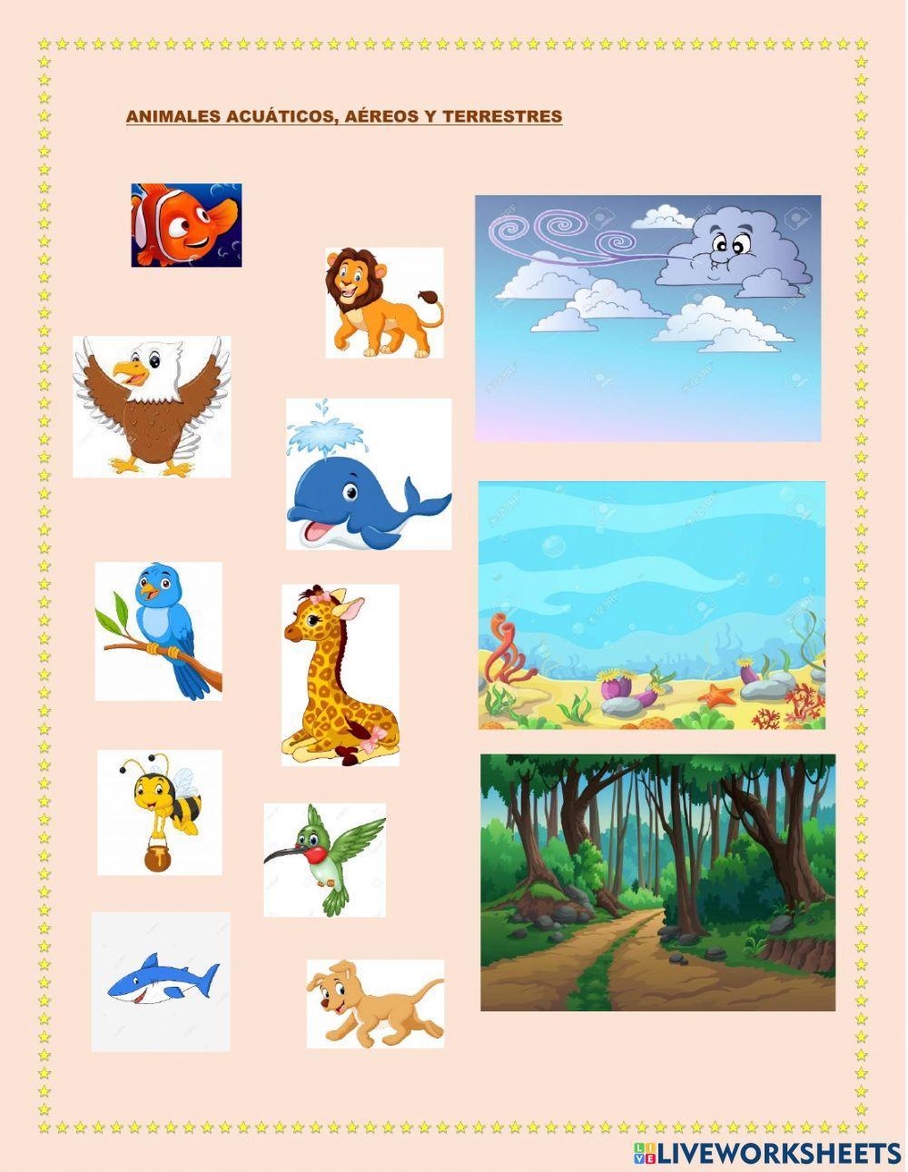 Animales acuáticos aéreos y terrestres