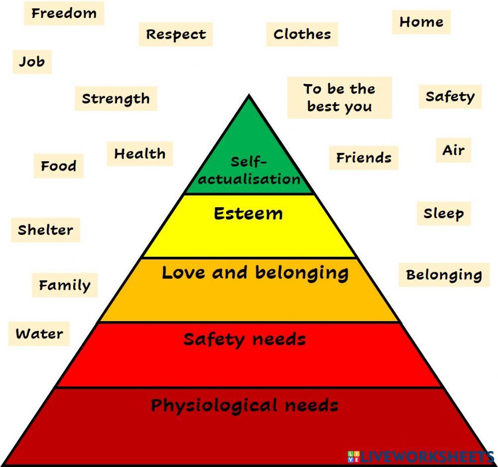 Hierarchy of needs