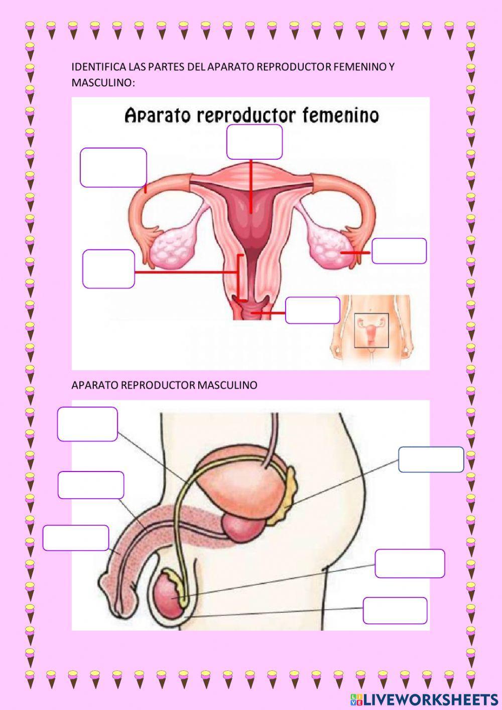 Diagnóstico ciencias naturales