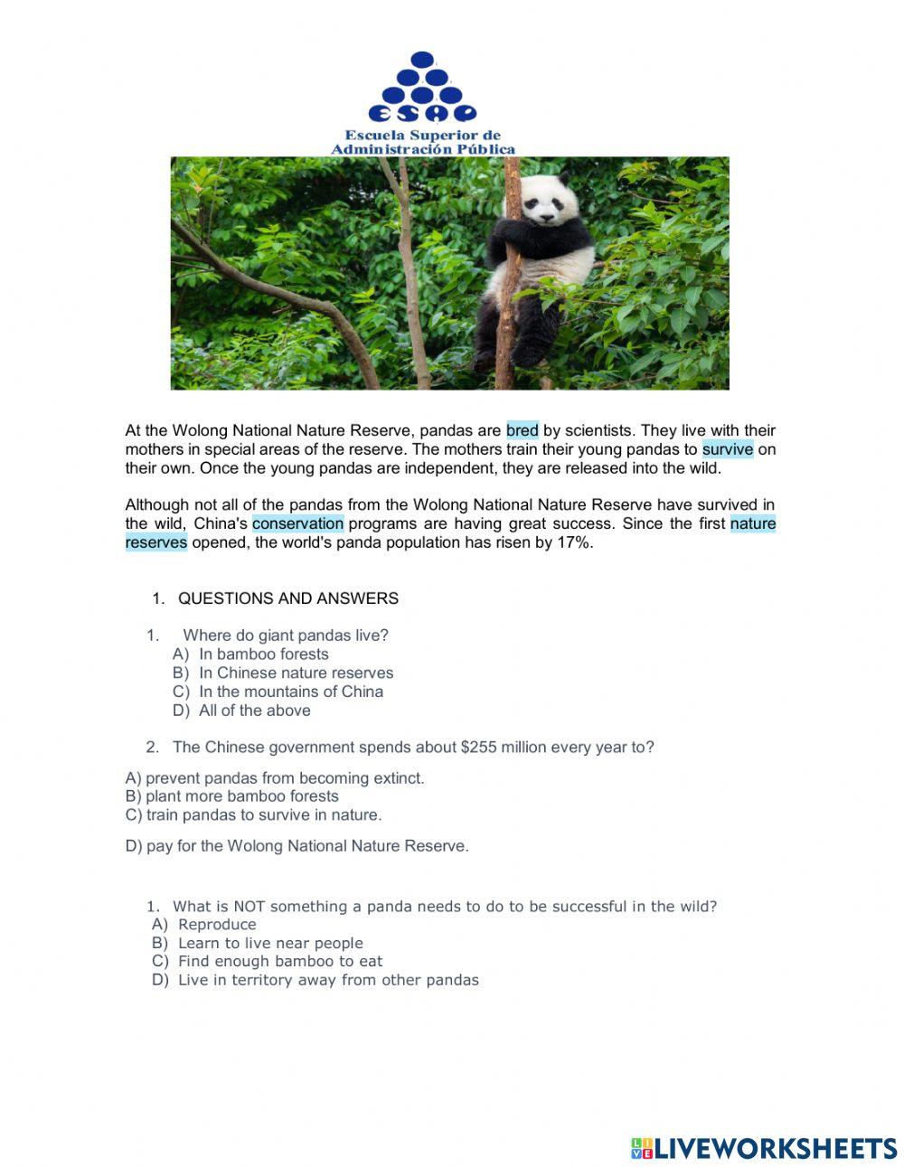 Reading comprehension