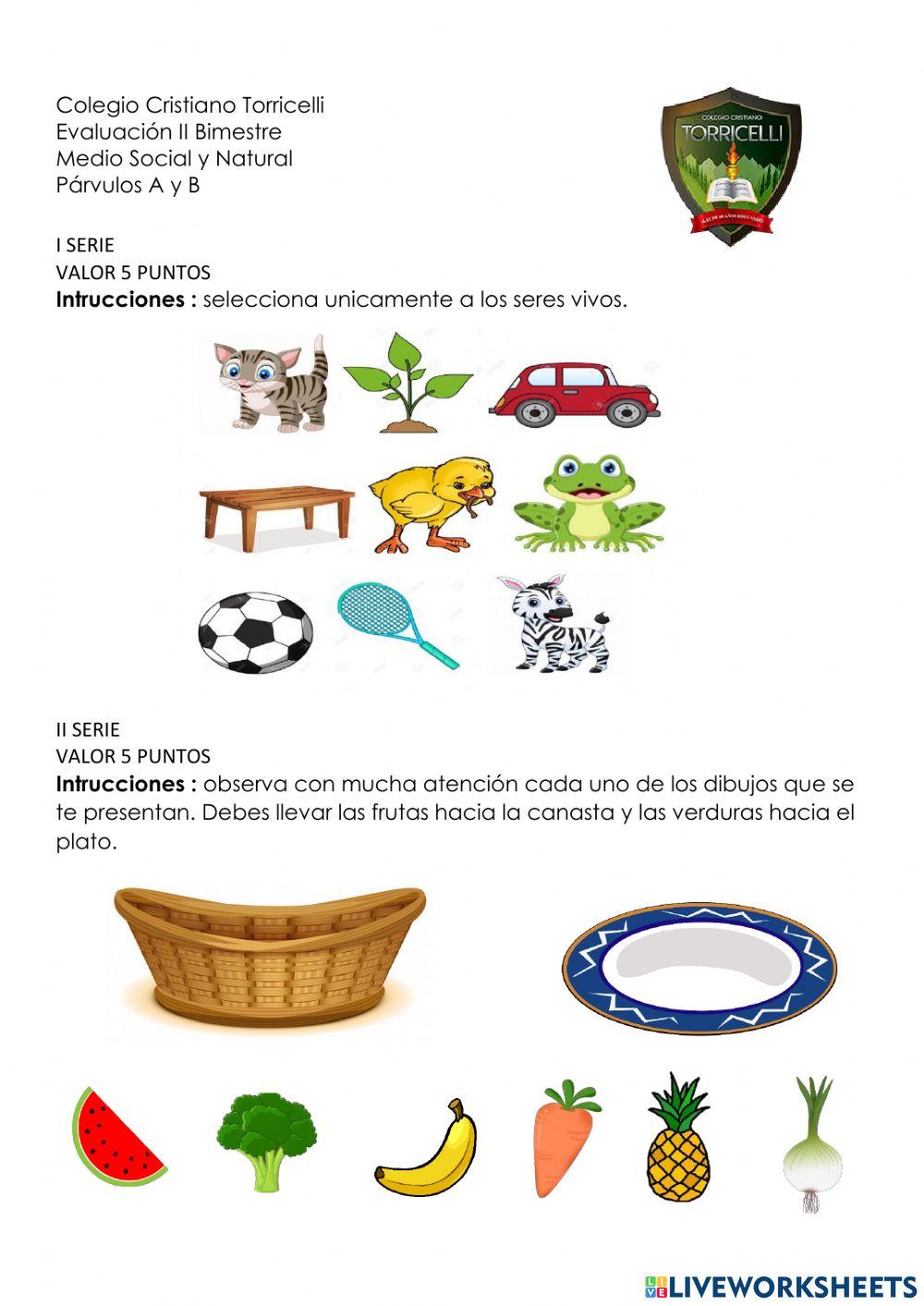 Medio Social- segunda unidad