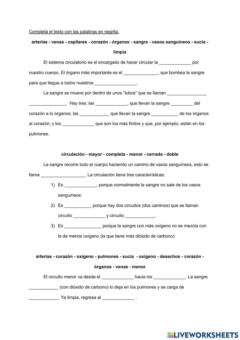 Sistema circulatorio