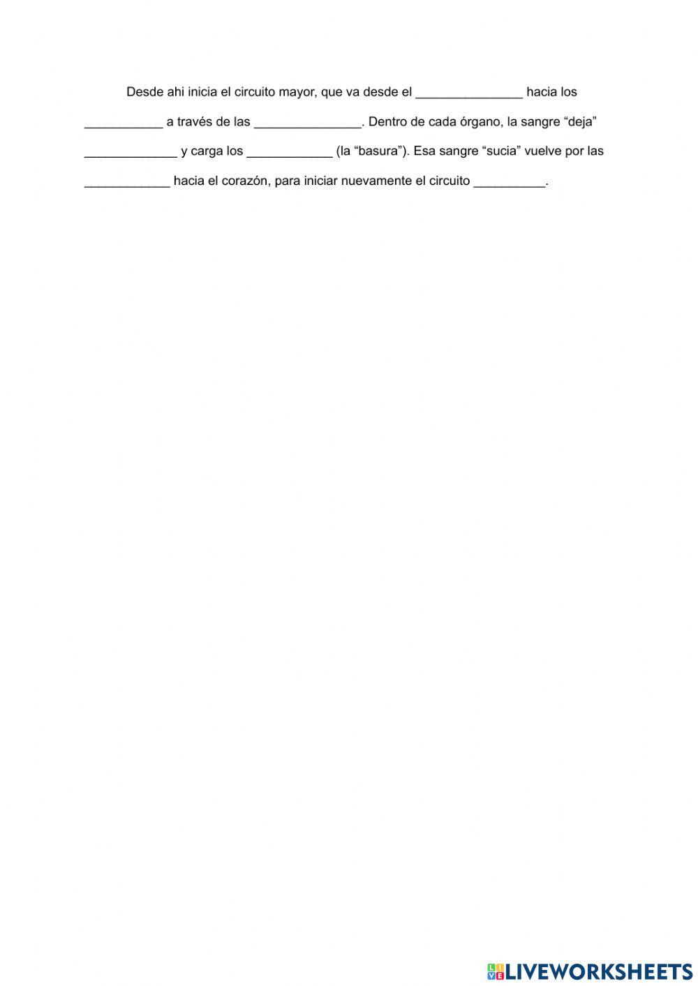 Sistema circulatorio