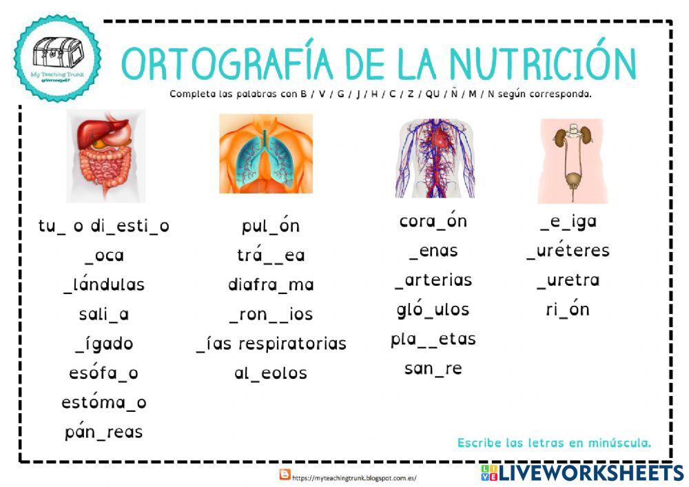 Ortografía de la nutrición