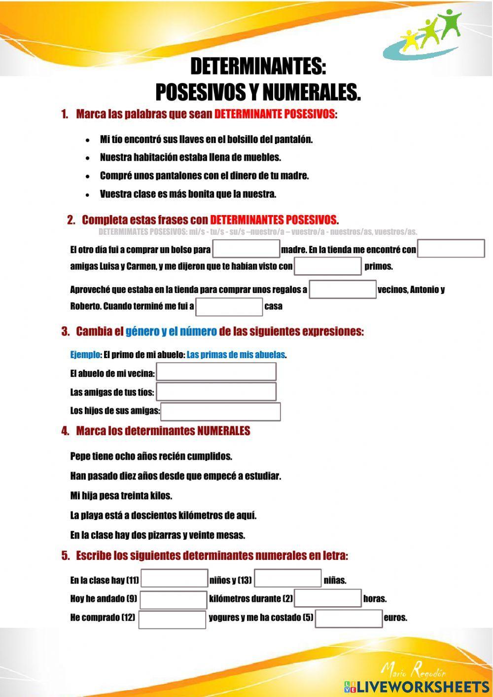 Determinante posesivos y numerales Determinante posesivos y numerales