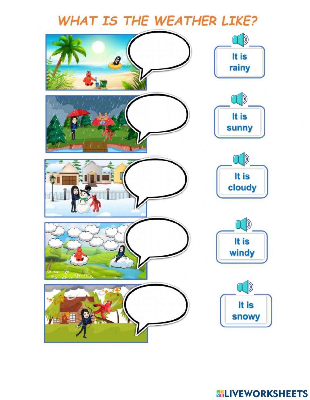 What is the weather like?