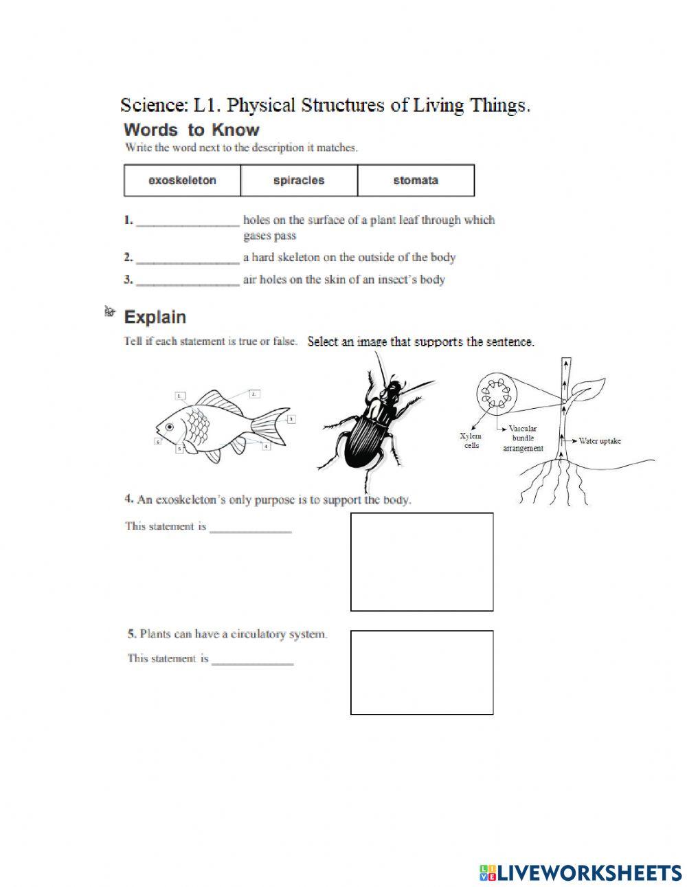 Science: L.1 Physical Structures in Living Things.