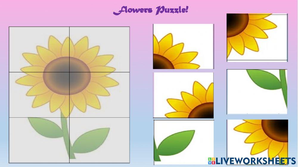 Flower Puzzles