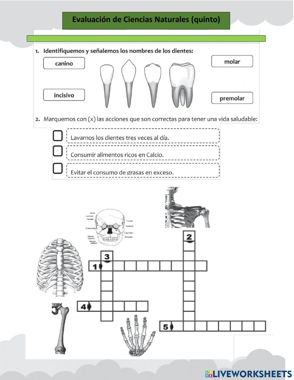 Evaluación de Ciencias Naturales