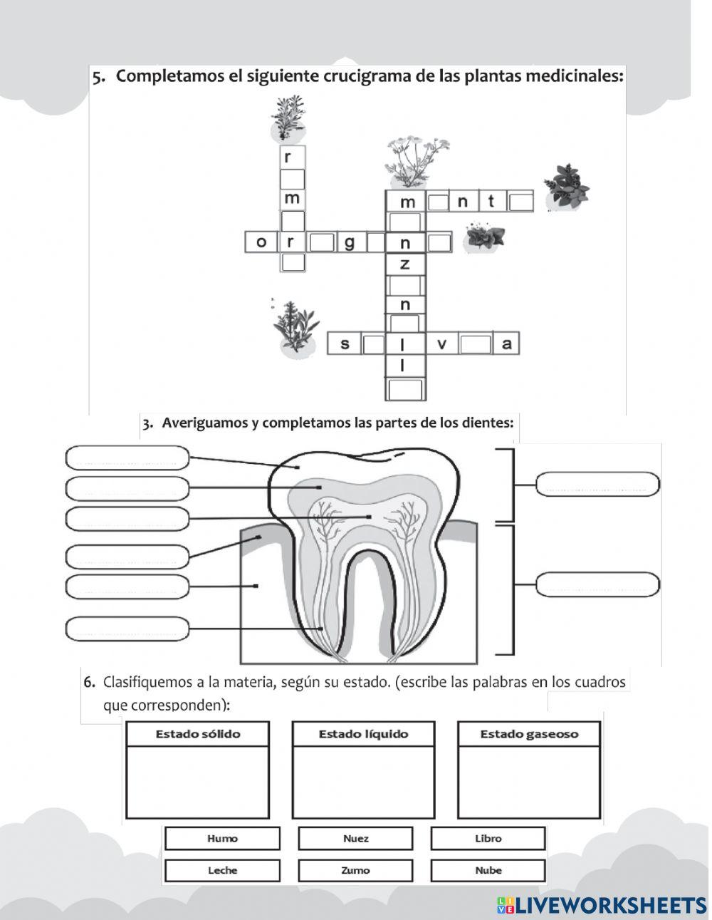 Evaluación de Ciencias Naturales