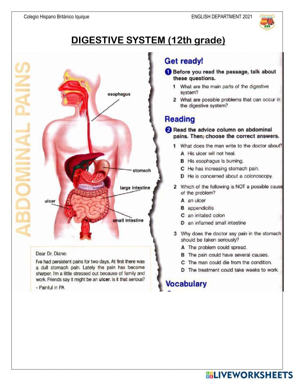 Digestive System
