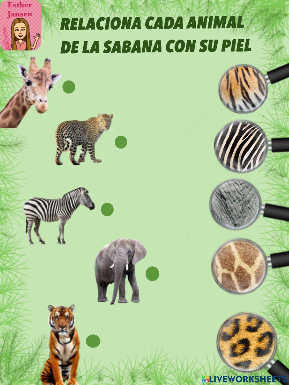 Une cada animal con su piel