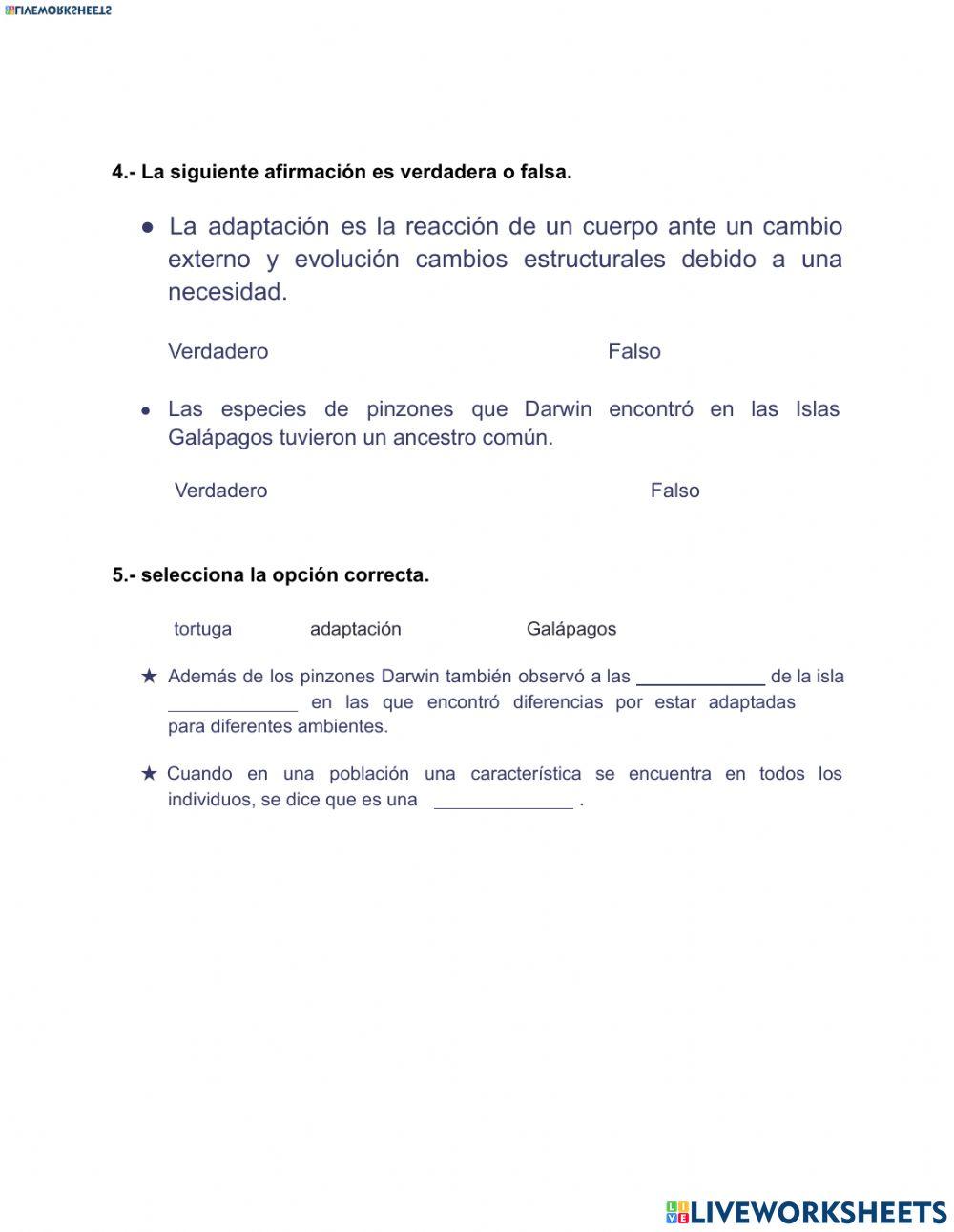 La evolución )Selección Natural