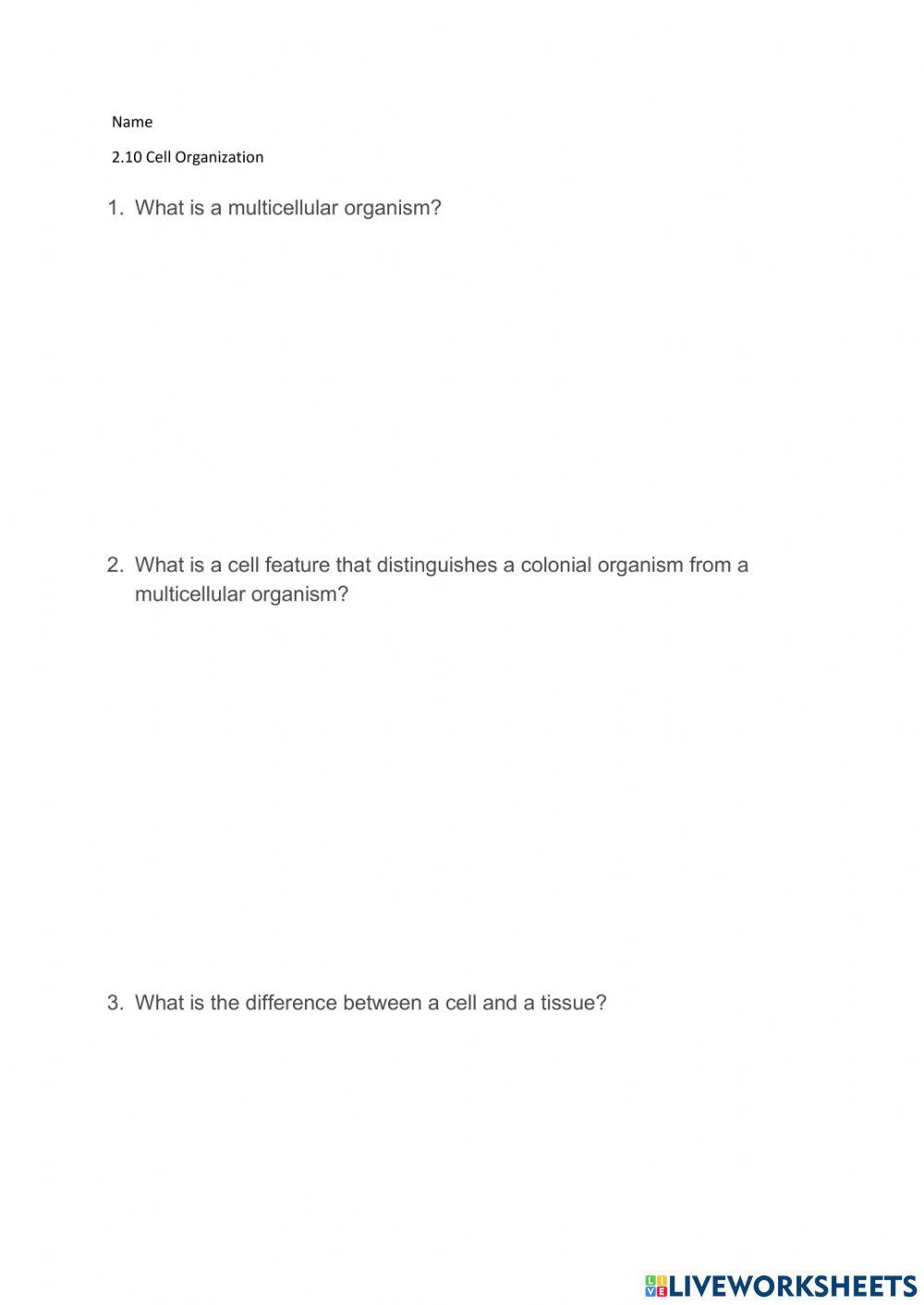 2.10 Cell Organization