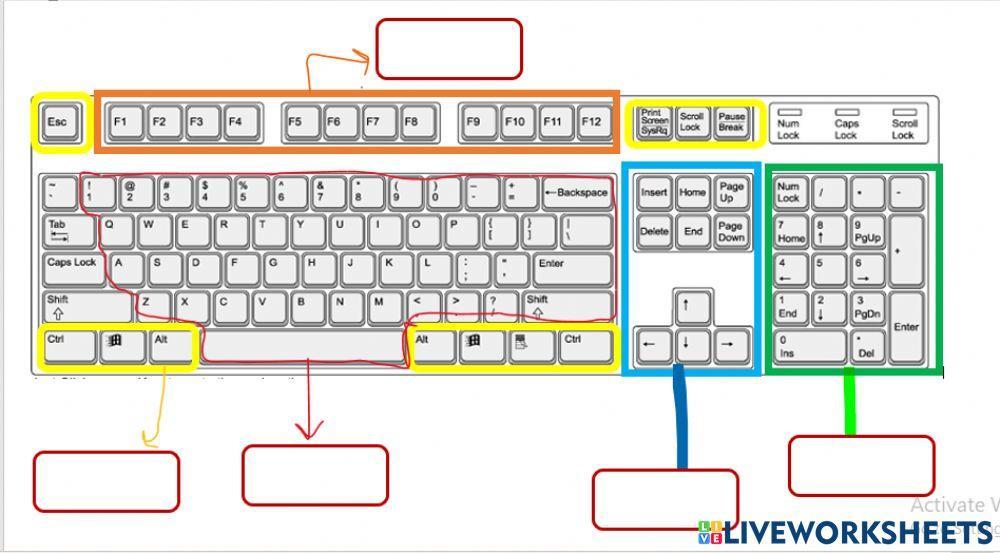 965660 keyboard parts alaa yousef liveworksheets